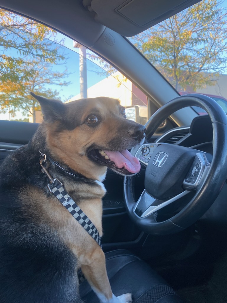 Ghost Riding The Whip
